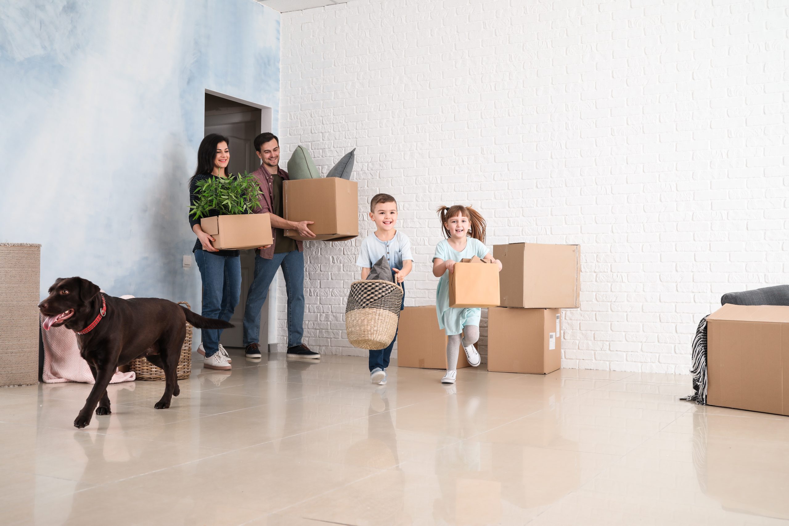 How to Help Children Adjust to a Move Elite Moving