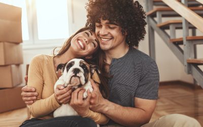 Tips for Stress-Free Moving With Your Pets
